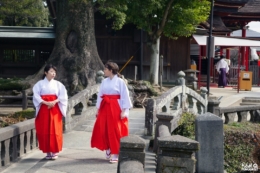 Experience miko au sanctuaire Koinoki, ville de Chikugo, Fukuoka