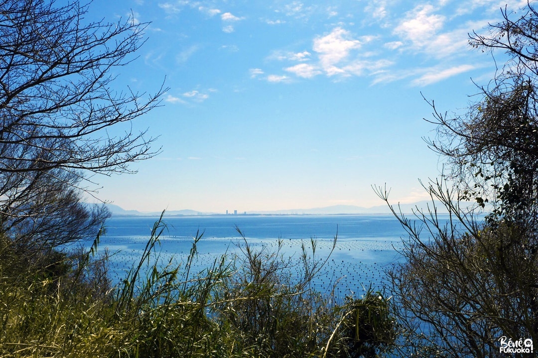 Ainoshima, l' île aux chats de Fukuoka