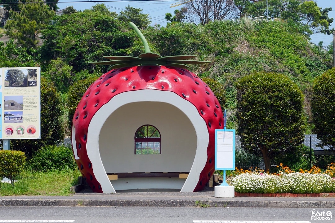 Abribus fraise, Isahaya, Nagasaki