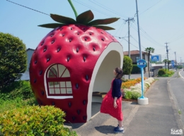 Les arrêts de bus fruits de Konagai (Nagasaki)