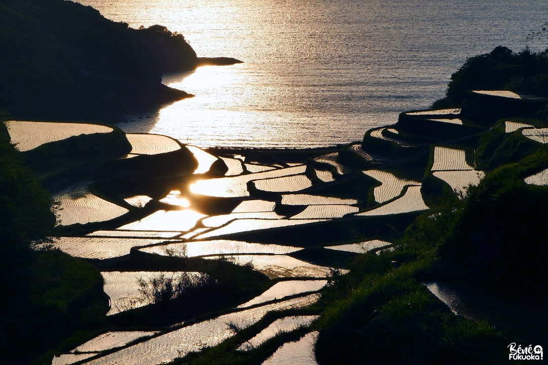 Coucher de soleil sur les rizières en terasse Hamanoura, ville de Genkai, préfecture de Saga