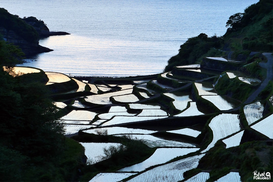Rizières en terrasse Hamanoura, ville de Genkai, préfecture de Saga