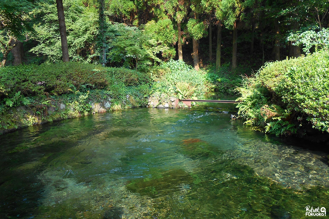 Source Shiraikawa, Kumamoto