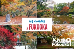 Guide momiji : où admirer les érables à Fukuoka