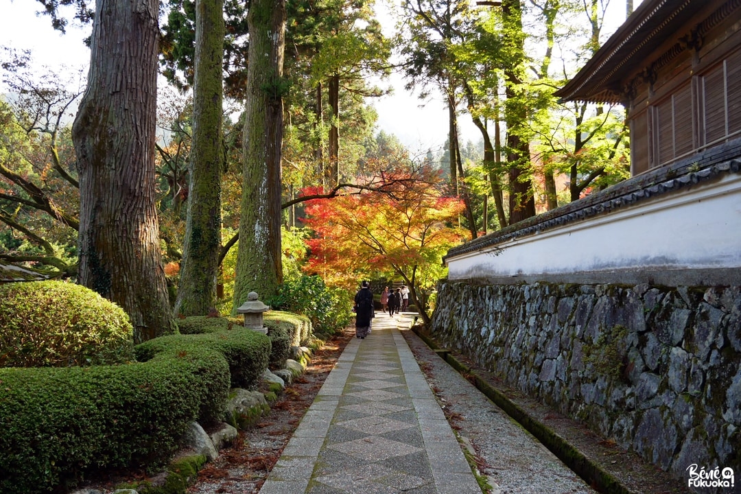 Momiji au temple Raizan Sennyoji Daihiô-in, ville d'Itoshima, Fukuoka