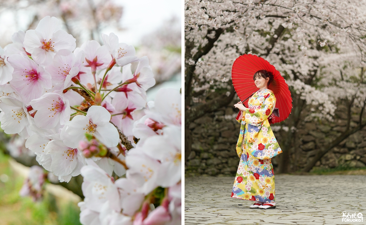 Location de kimono au parc Maizuru de Fukuoka