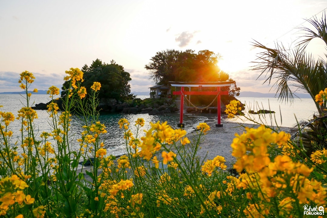 Le torii flottant du sanctuaire Arihara Tenjin, Kanoya, préfecture de Kagoshima
