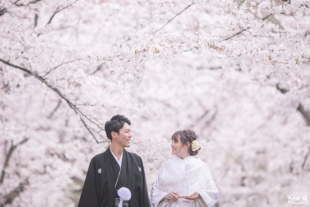 Photos de mariage sous les cerisiers du parc Maizuru, ville de Fukuoka, Japon