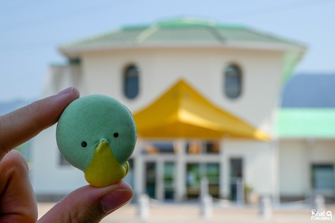 Macarons kappa, gare de Tanushimaru, Kurume, préfecture de Fukuoka