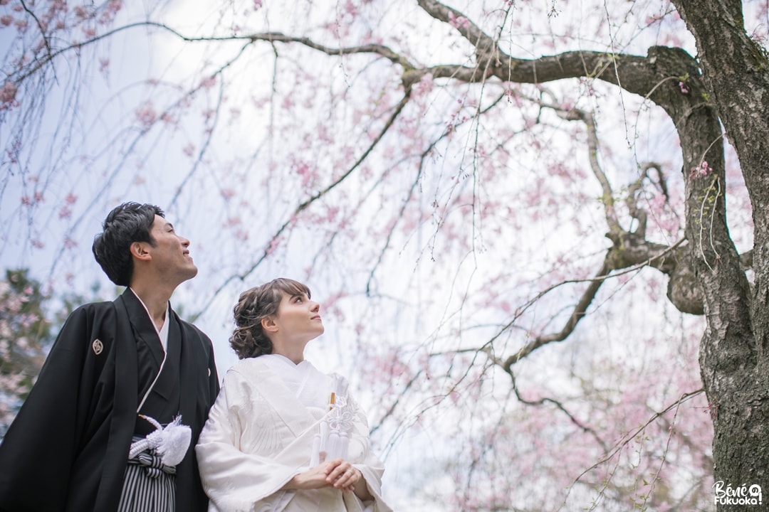 Photos de mariage sous les cerisiers, ville de Fukuoka, Japon