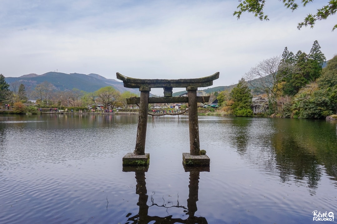 Le torii flottant du lac Kinrin, Yufuin,préfecture d'Ôita