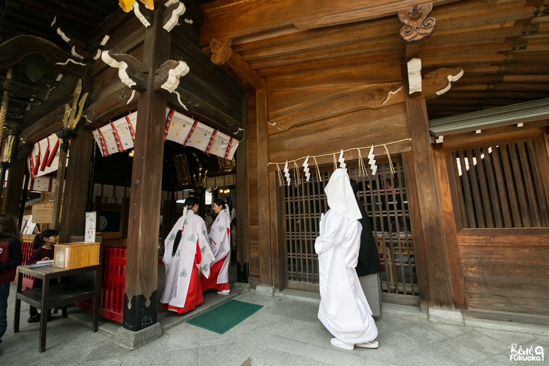 Cérémonie de mariage japonais au sanctuaire : l'entrée des mariés, sanctuaire Kushida, Fukuoka