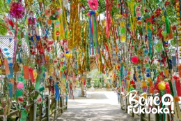 Fête des étoiles Tanabata au sanctuaire Dazaifu Tenmangû, Fukuoka