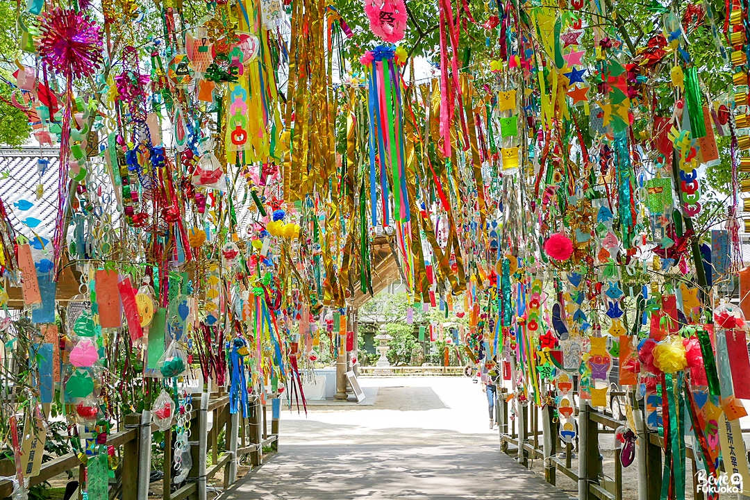 Fête des étoiles Tanabata au sanctuaire Dazaifu Tenmangû, Fukuoka