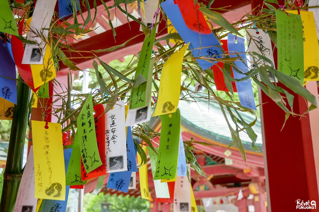 Tanzaku pour Tanabata, la Fête des étoiles au sanctuaire Dazaifu Tenmangû, Fukuoka