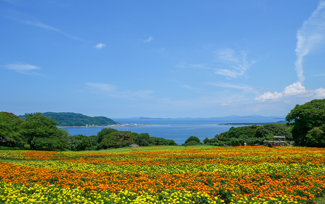 L'île Nokonoshima à Fukuoka