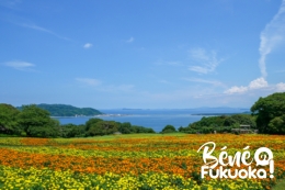 L'île Nokonoshima à Fukuoka