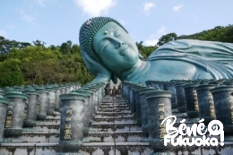 Visiter le temple Nanzôin en 2019 : ce qui a changé