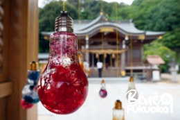 Sanctuaire photogénique de Kasuga, Fukuoka