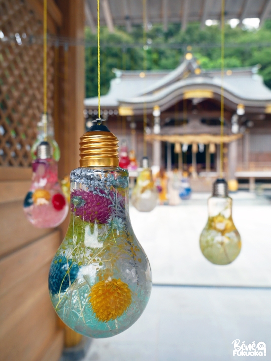 Sanctuaire photogénique de Kasuga, Fukuoka