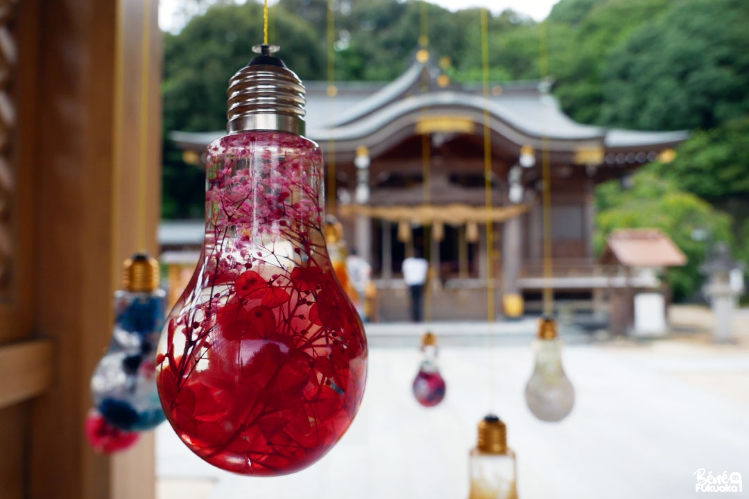 Sanctuaire photogénique de Kasuga, Fukuoka