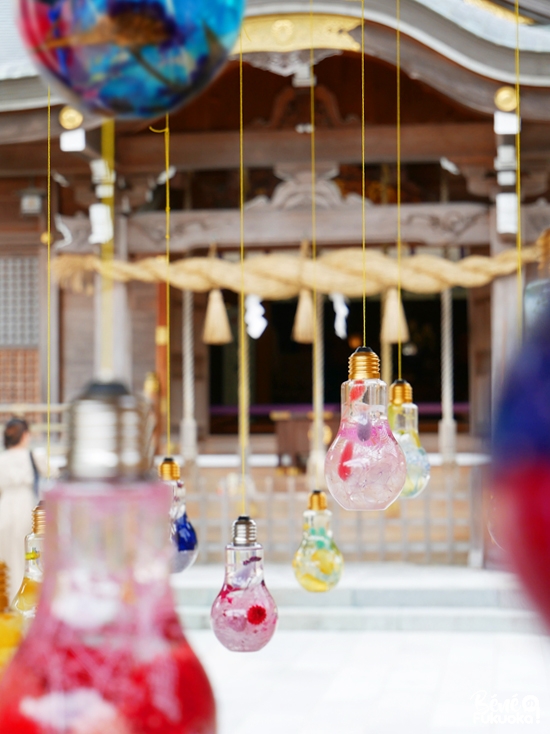 Sanctuaire photogénique de Kasuga, Fukuoka