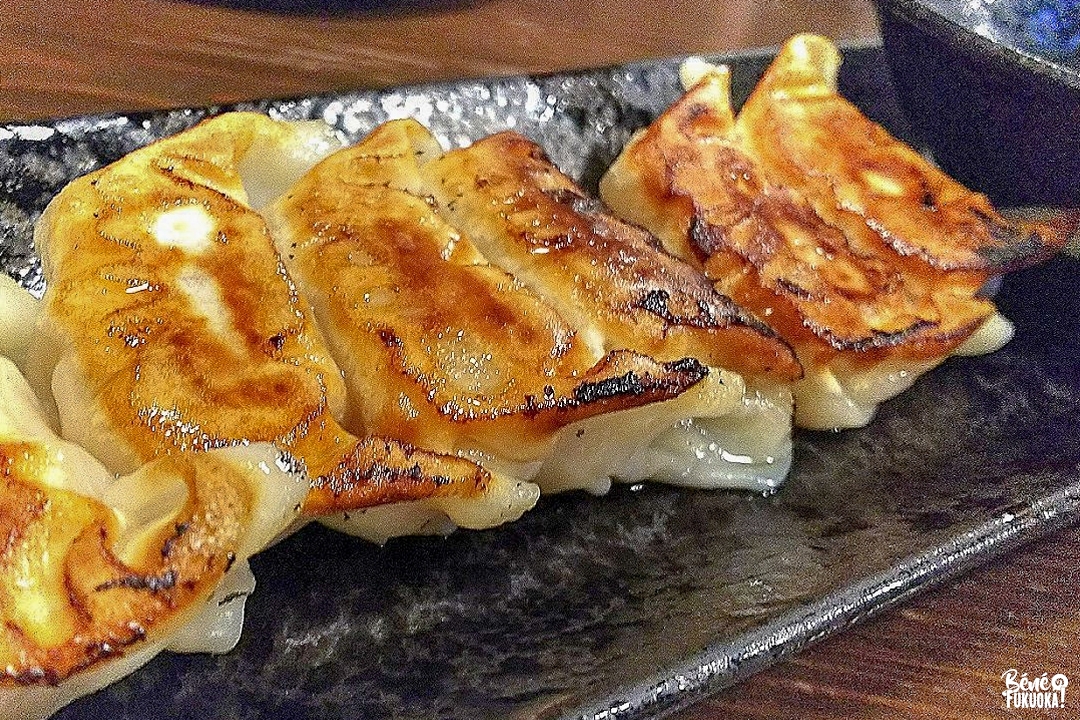 Hakata gyôza