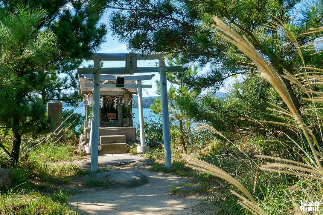 Sanctuaire Hakoshima, Itoshima