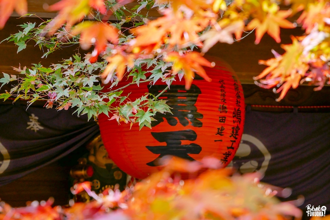 Momiji au temple Nomiyama Kannon à Sasaguri, Fukuoka