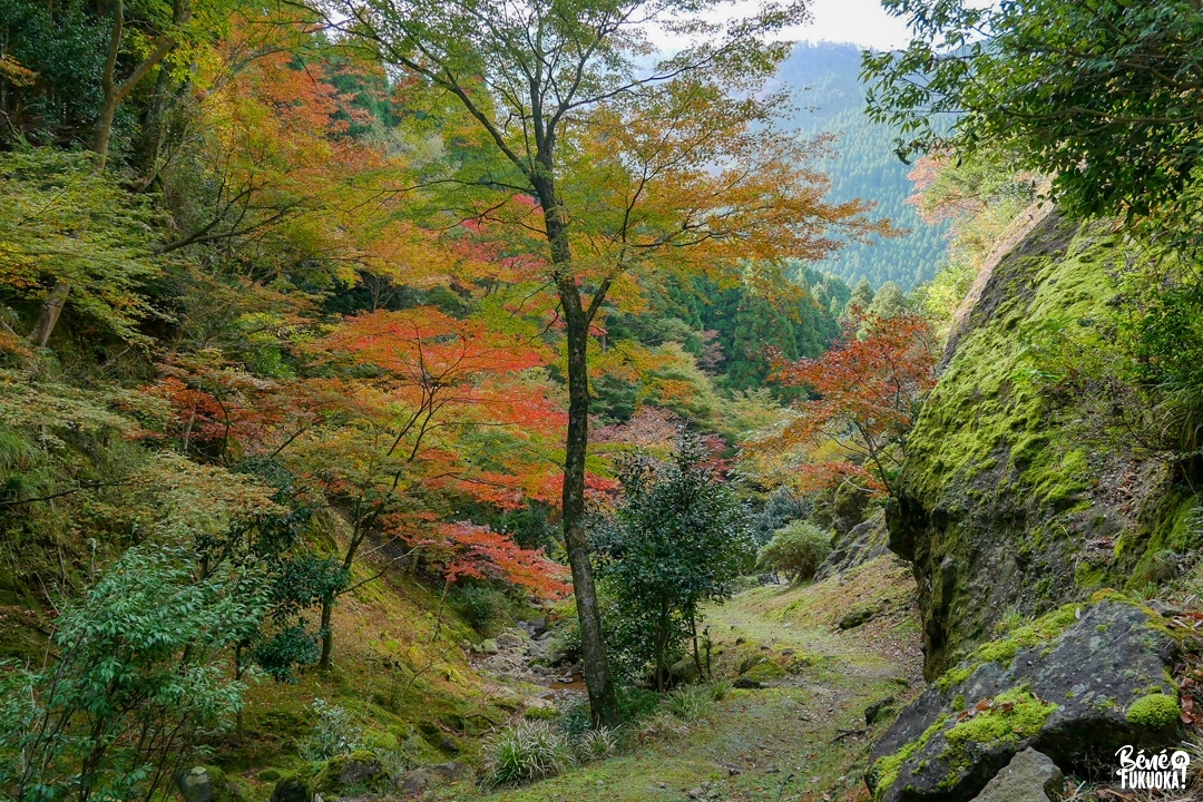 Hikosan Daigongen, village de Soeda, préfecture de Fukuoka