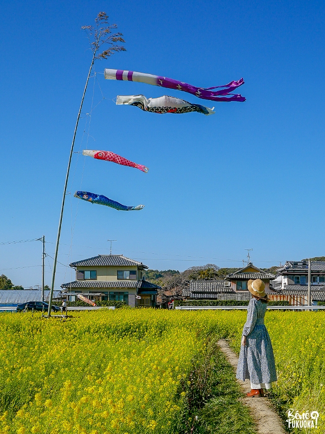 Champ de nanohana au parc Mushirouchi, Koga, Fukuoka