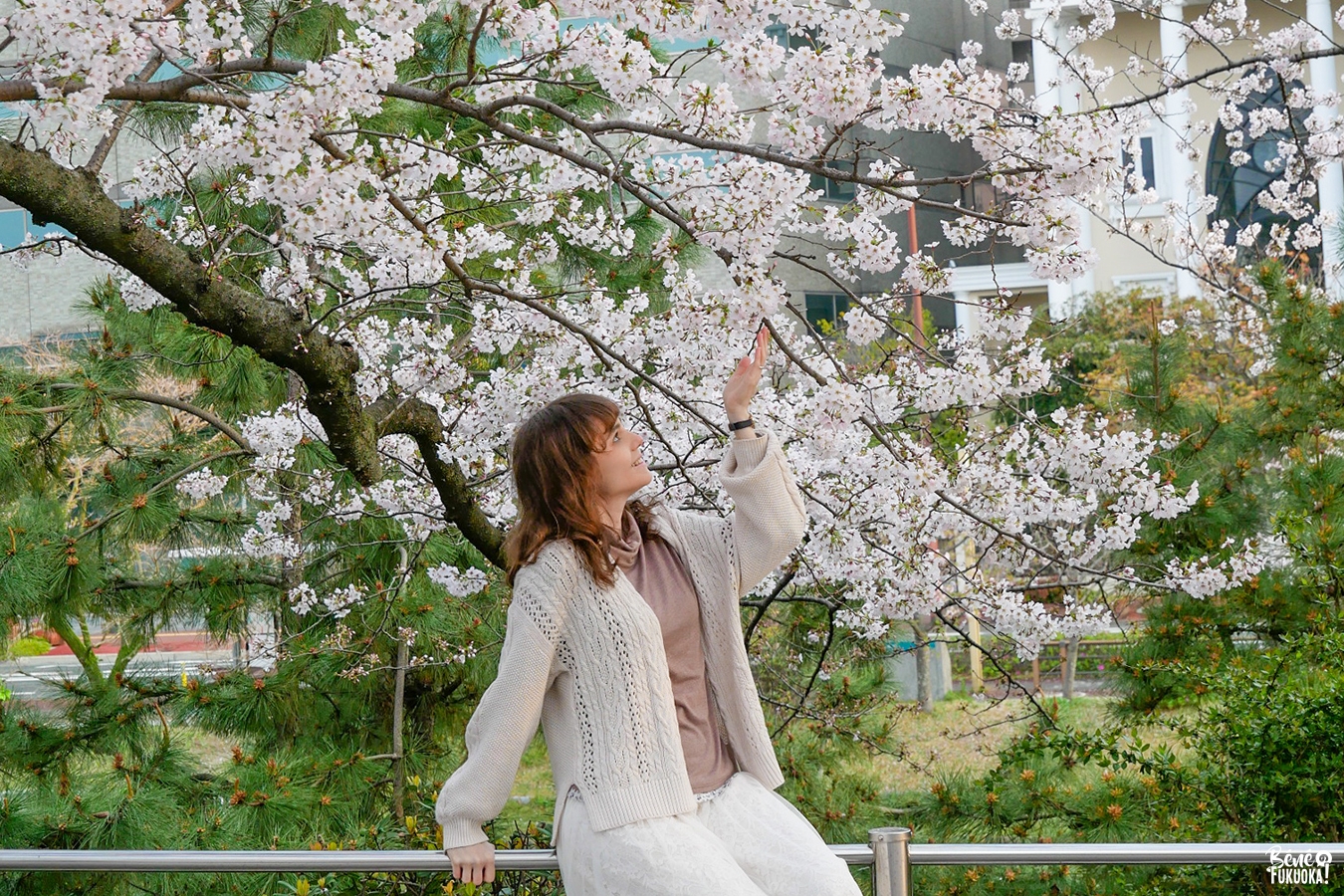 Française à Fukuoka : hanami au parc Maizuru, Fukuoka