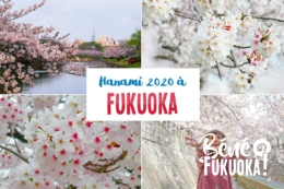 Hanami 2020 à Fukuoka