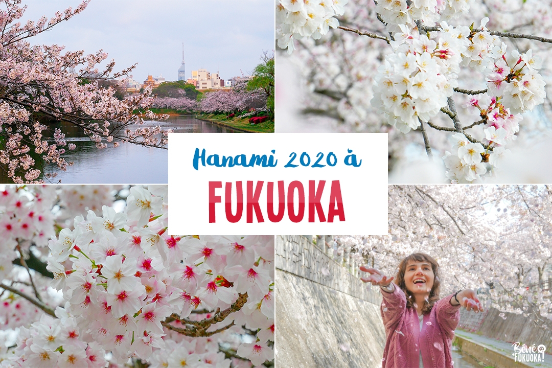 Hanami 2020 à Fukuoka