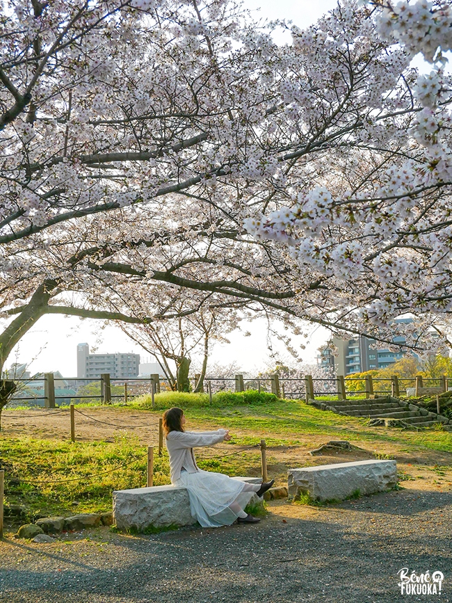 Hanami au parc Maizuru, Fukuoka