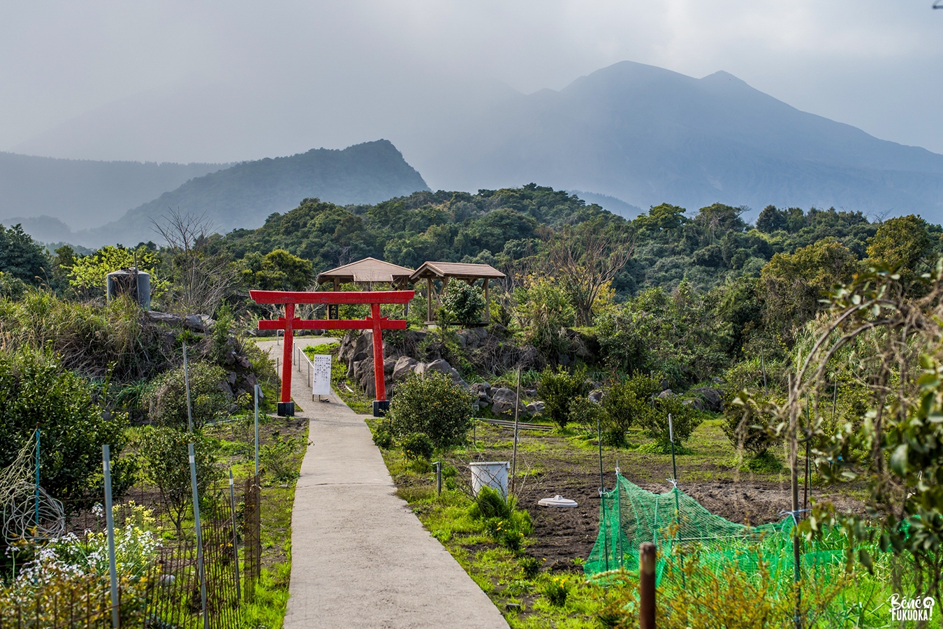 Tabi no Sato, observatoire du Sakurajima, Kagoshima