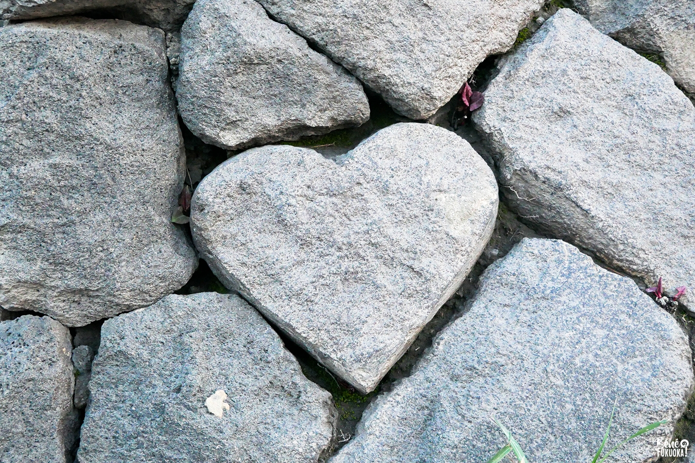 Pierre en forme de coeur, observatoire Yunohira, Sakurajima, Kagoshima