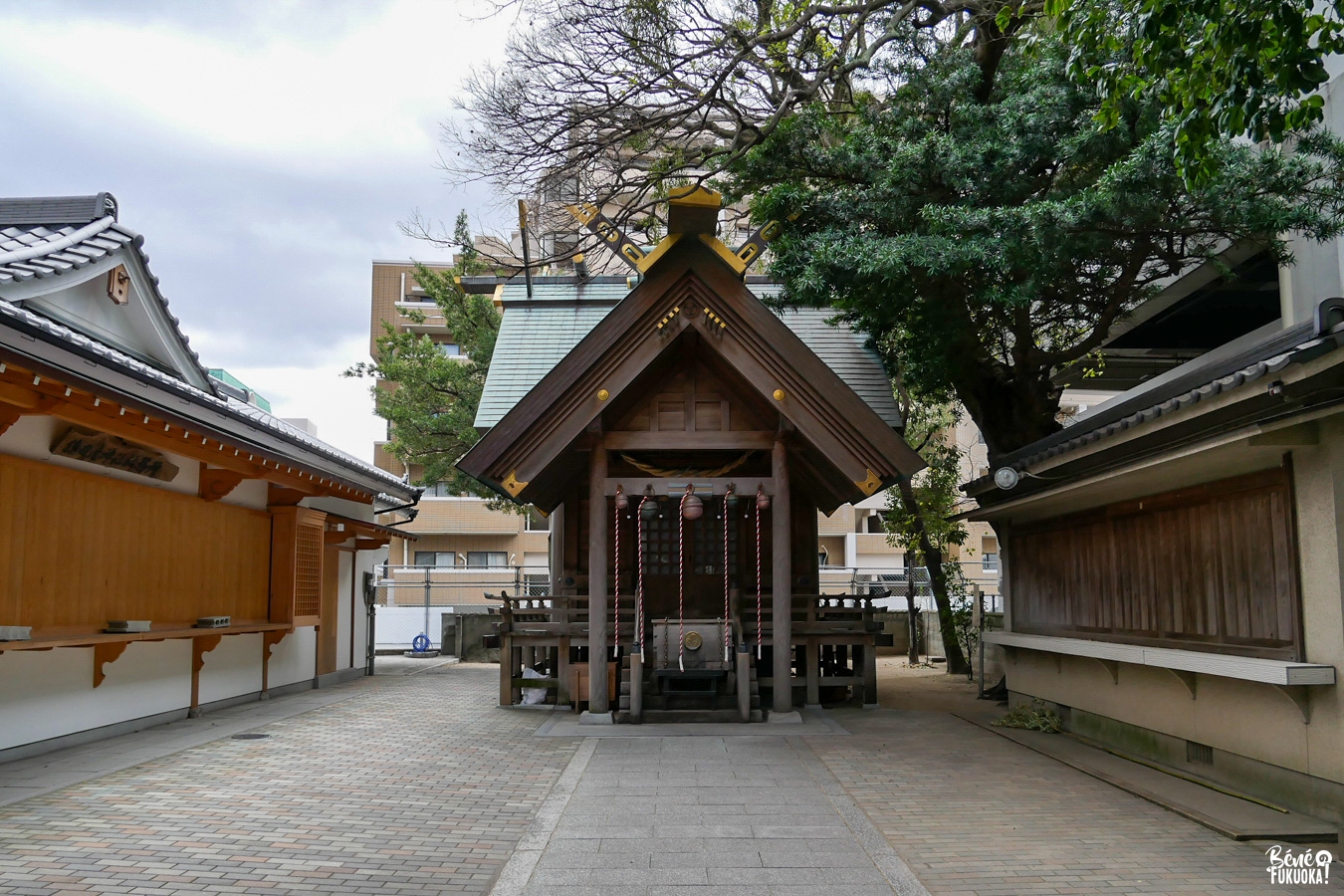 Sanctuaire Sarutahiko, Fukuoka