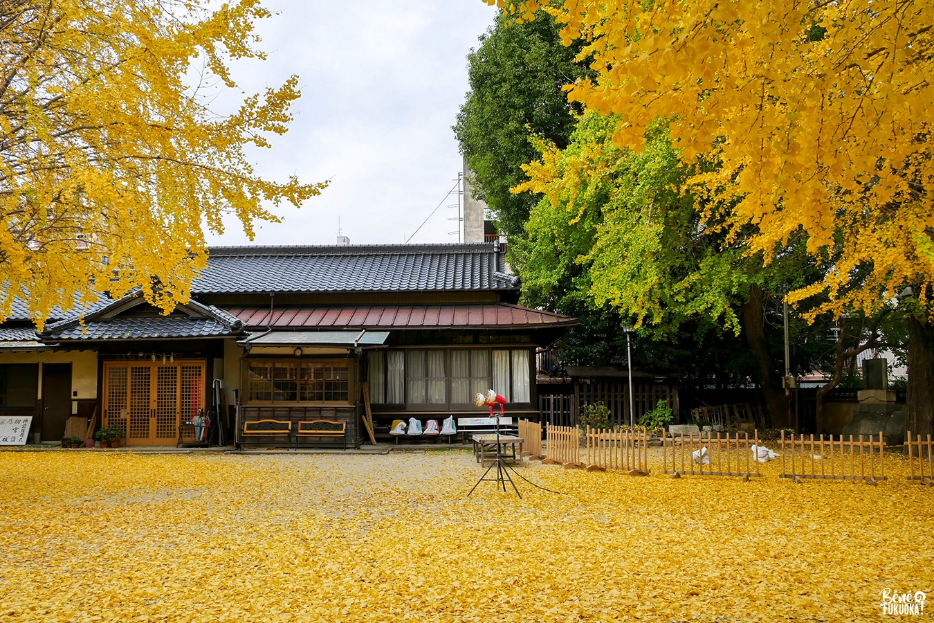 Sanctuaire Futsukaichi Hachimangû, vilel de Chikushino, Fukuoka
