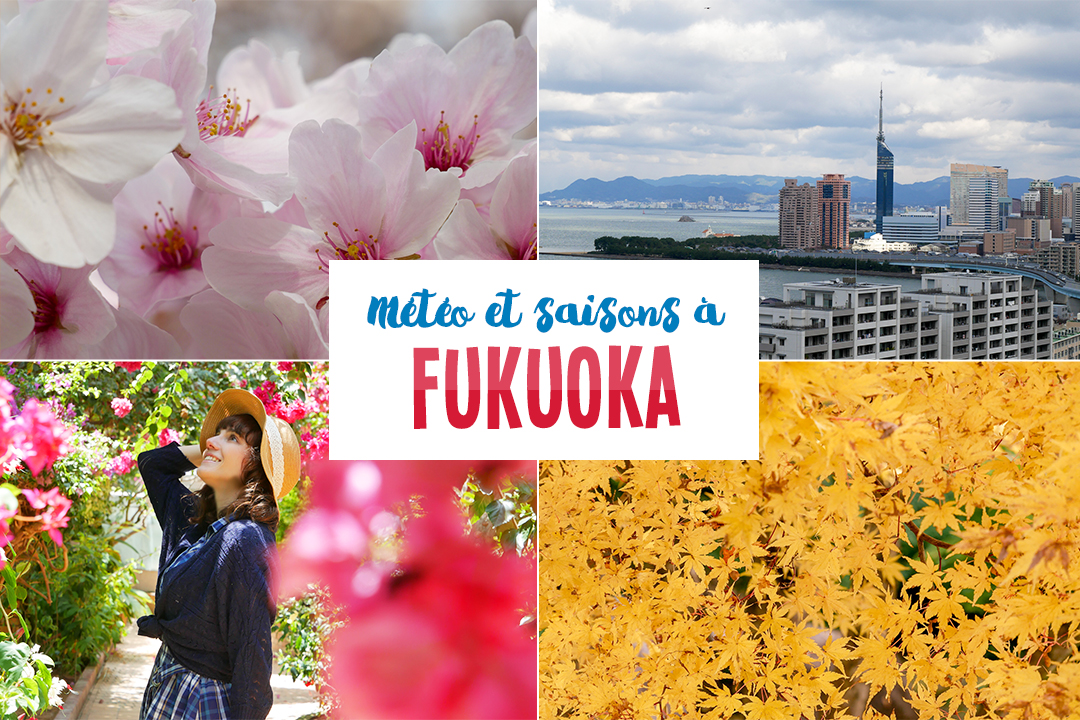 Météo et saisons à Fukuoka