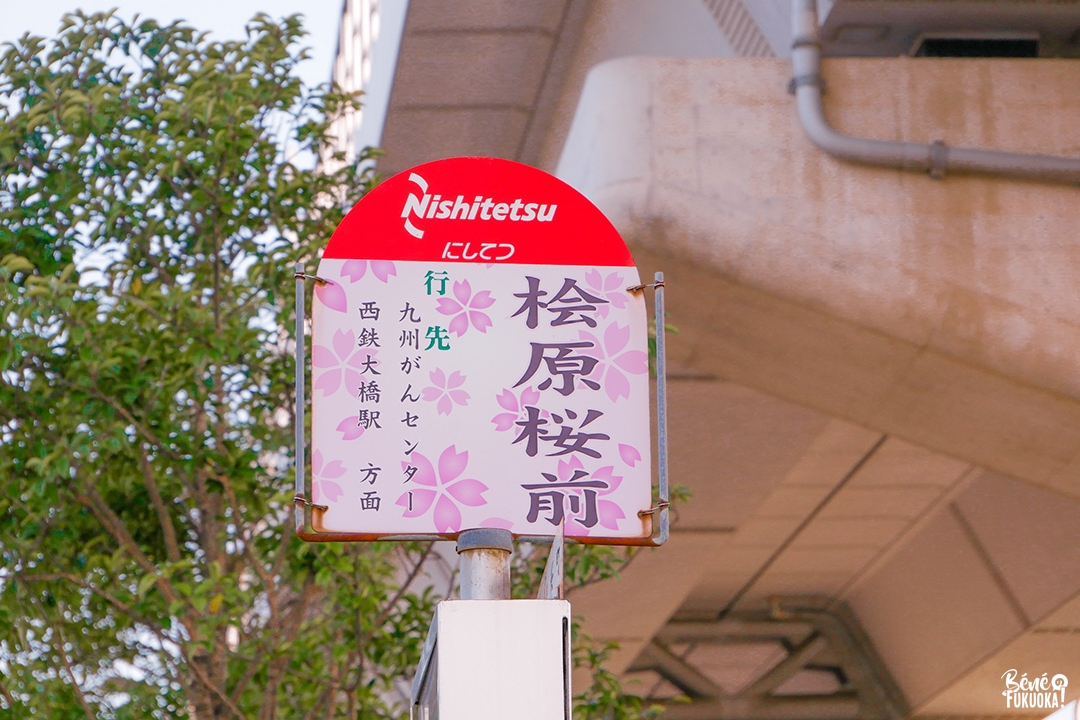 Arrêt de bus du parc Hibaruzakura, Fukuoka