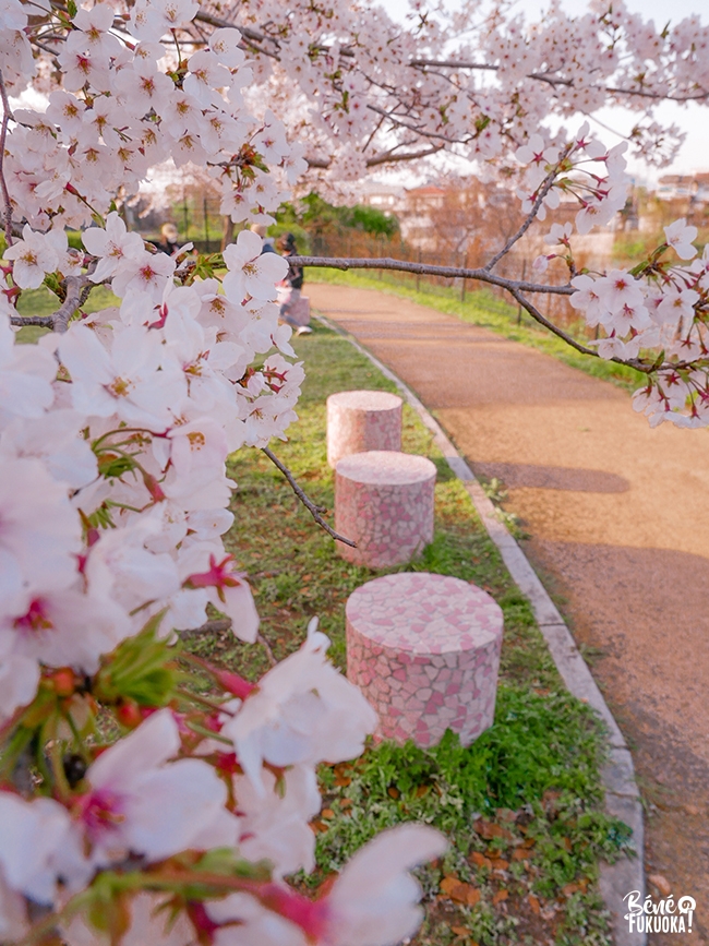 Le parc Hibaruzakura, Fukuoka