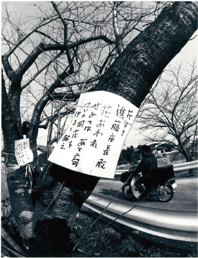 Poème Hibaruzakura, Fukuoka