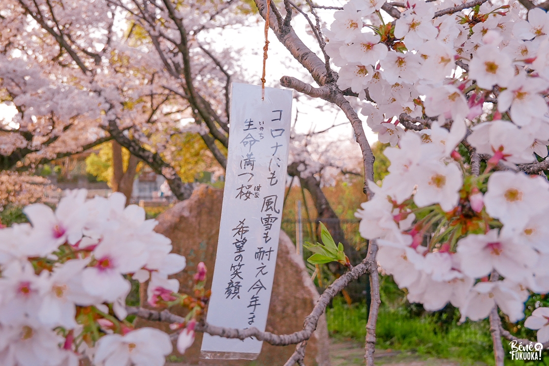 Poème au parc Hibaruzakura, Fukuoka