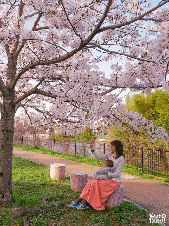 Le parc Hibaruzakura, Fukuoka