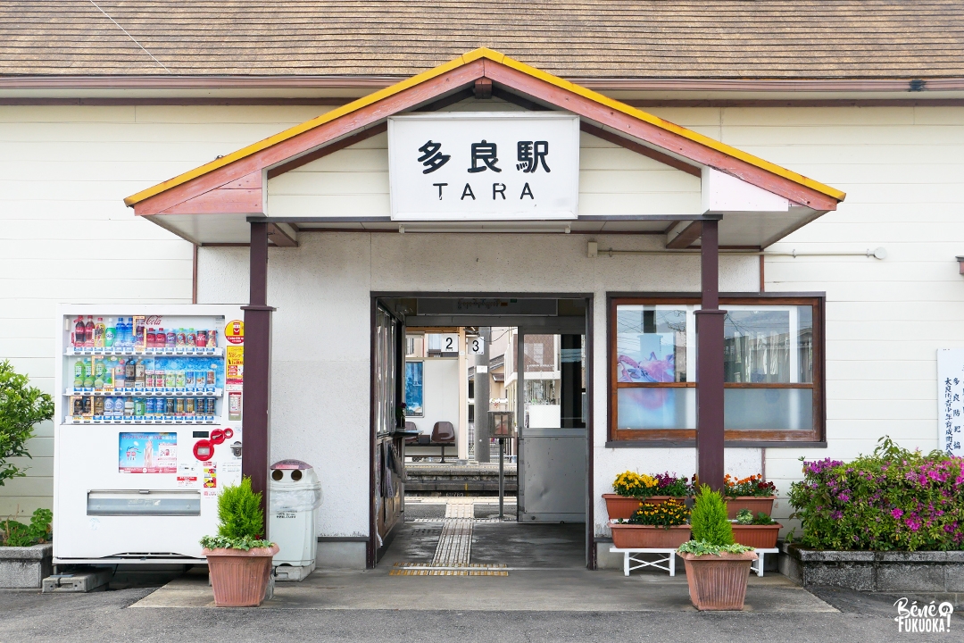 La gare de Tara