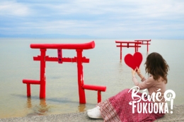 Le long de la mer Ariake : escale à Tara