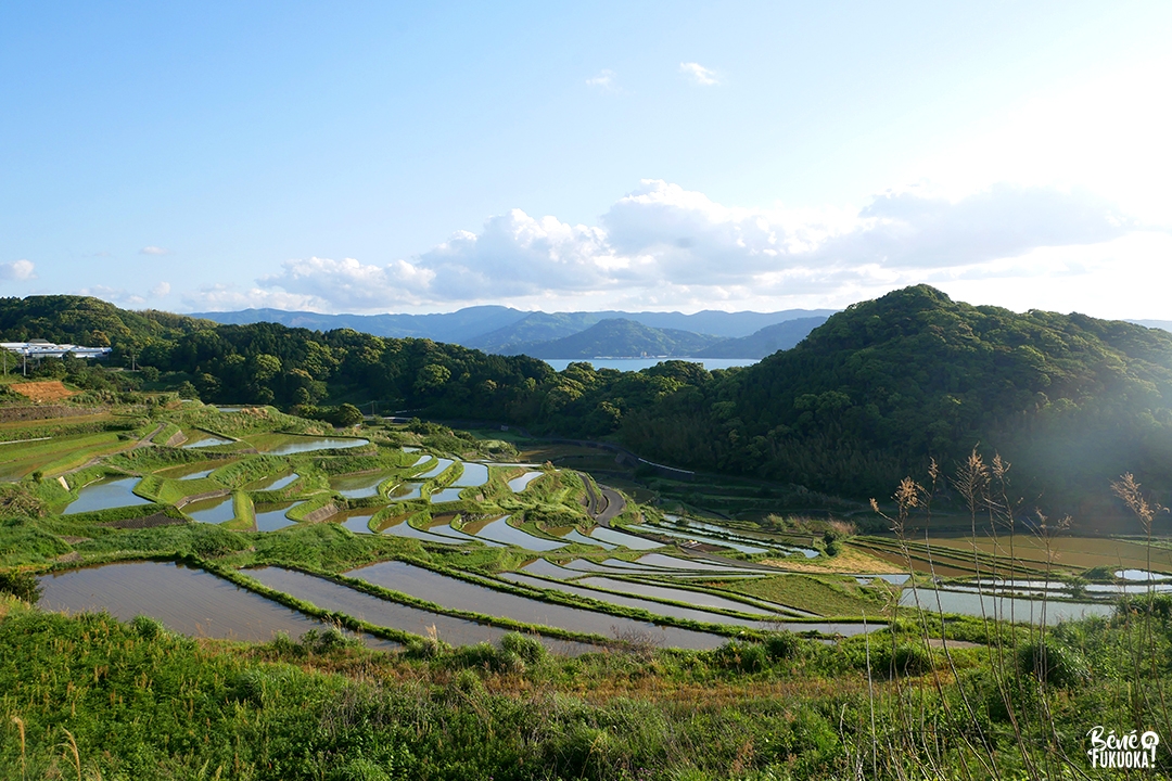 Les rizières en terrasse de Doya, île de Fukushima, Nagasaki