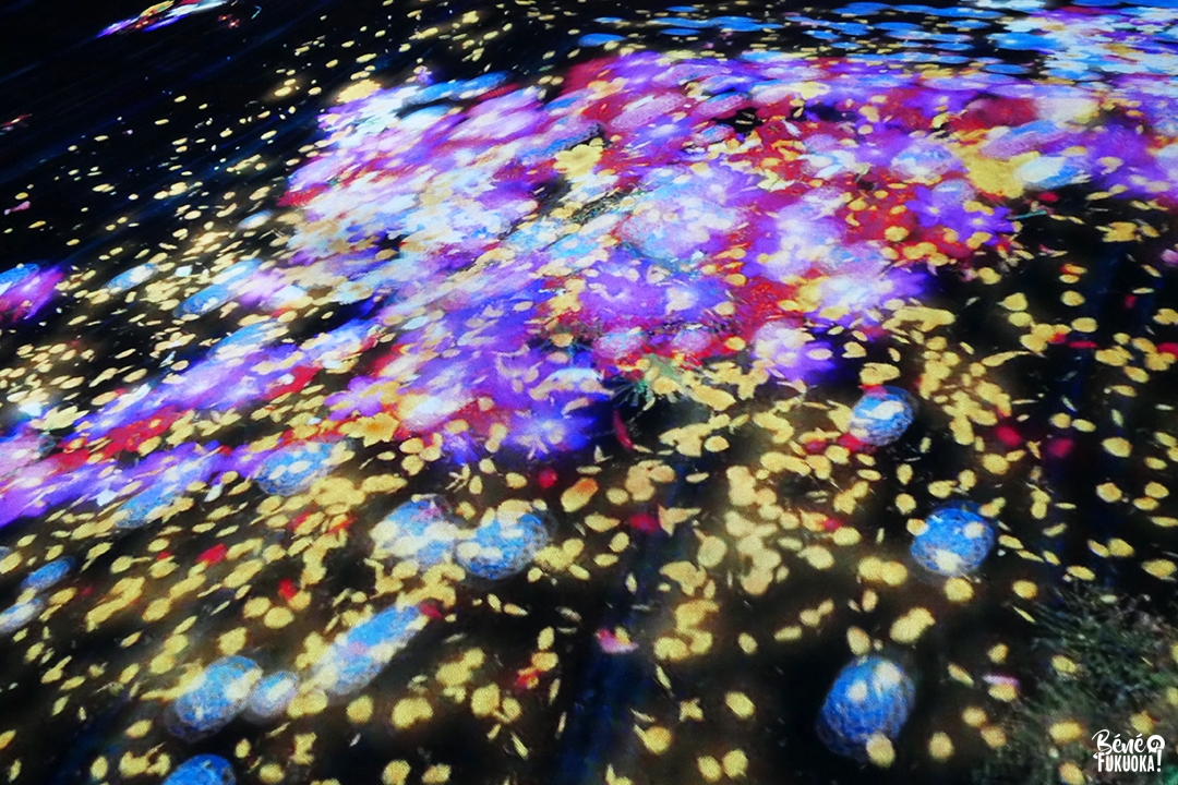 Visite de l'expo teamLab Forest à Fukuoka