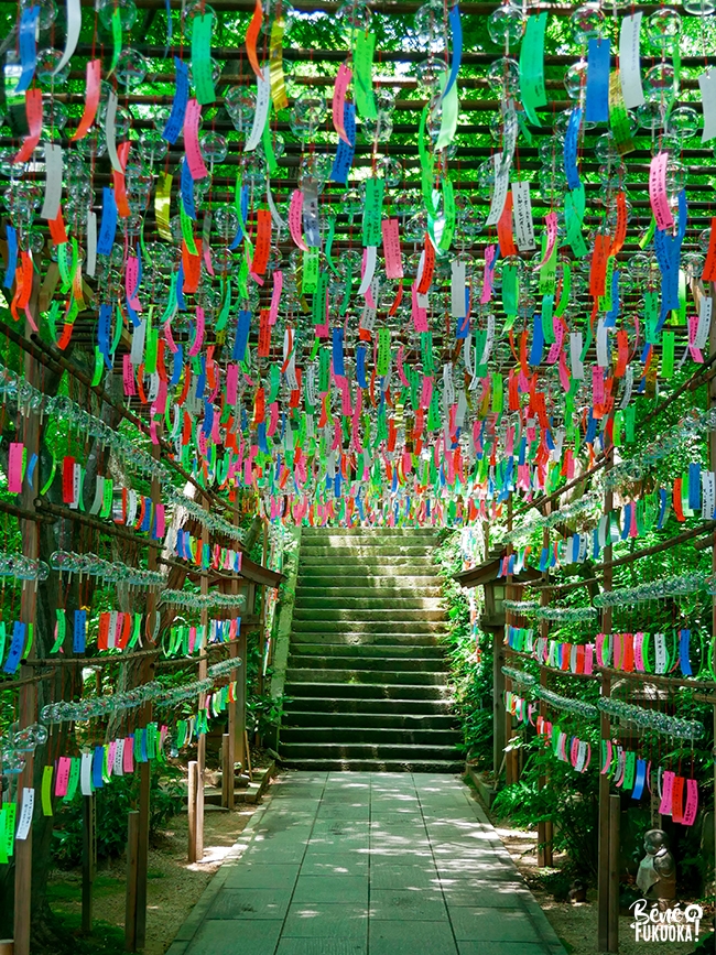 Festival des clochettes de vent (fûrin matsuri) en 2021 au temple des grenouilles, Kaeru-dera, Ogôri, Fukuoka